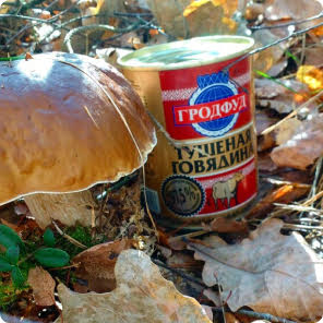 GrodFood GrodFood